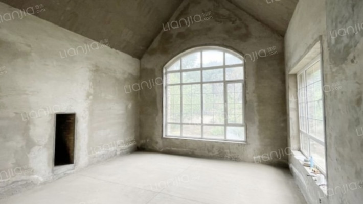 东高毛坯别墅 花园里的别墅区 业主急售-客厅