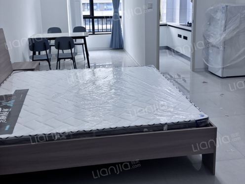 整租·中建状元公馆 1室1厅 东北