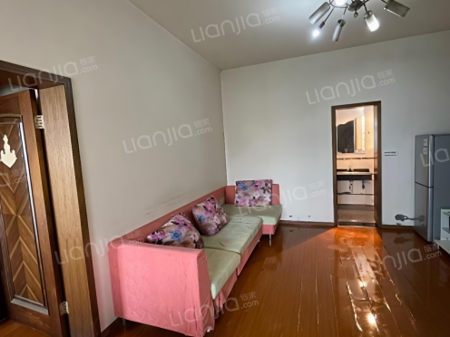 整租·世纪花城 1室1厅 东南