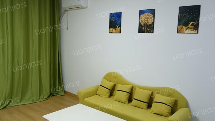 南北通透，精装修，成熟社区 ，采光无遮挡-客厅