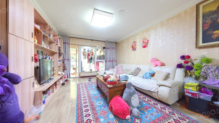 龙锦文苑二手房实景图