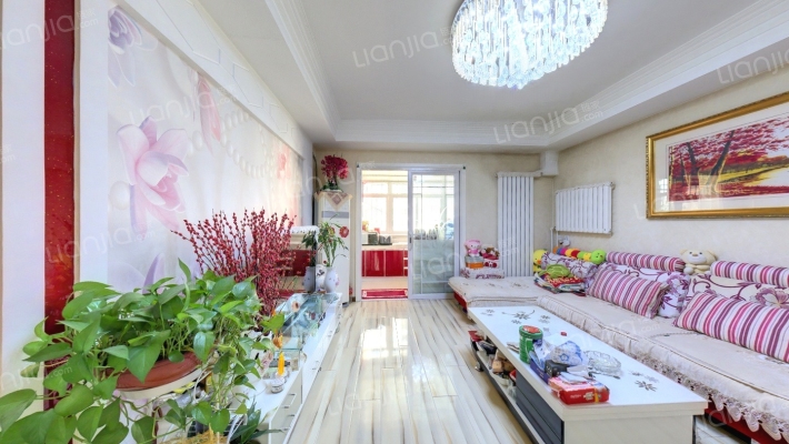 机具厂家属院二手房实景图