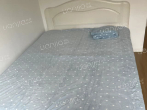 合租·鲁商蓝岸新城三期 3居室 北卧