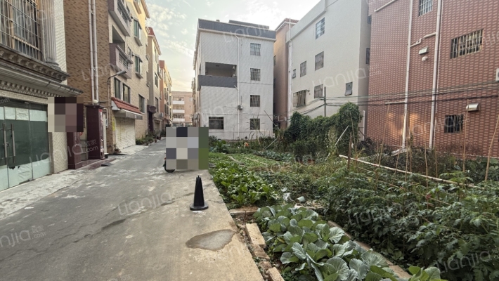 大良单家苏岗居委会二手房实景图