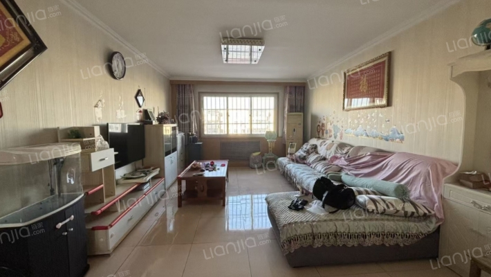 位于建设路 成熟小区 位置好  配套齐全 交通便利-客厅