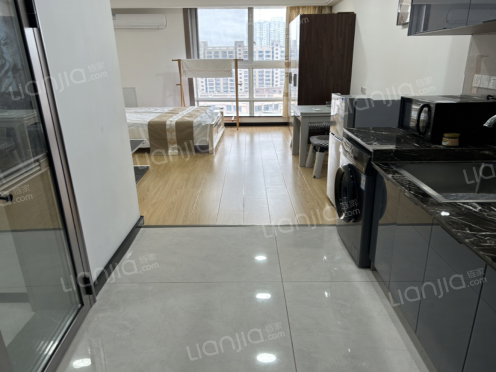 整租·中联壹城北区 1室1厅 南