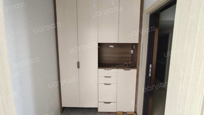 中船涿州府 4室2厅 南 北-门厅