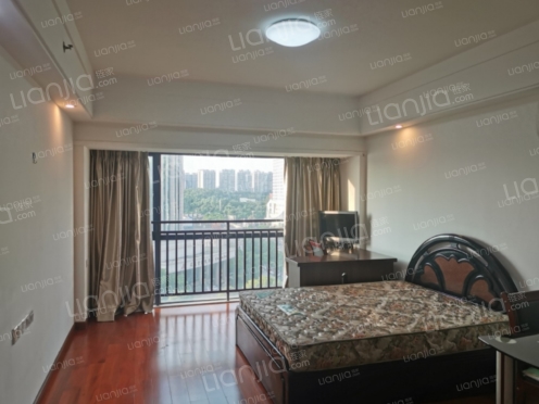 整租·中天国际盈翠苑 1室0厅 北