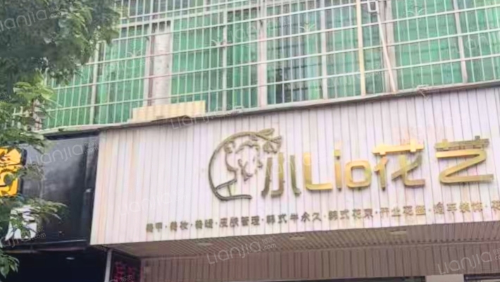 人民中路二手房实景图
