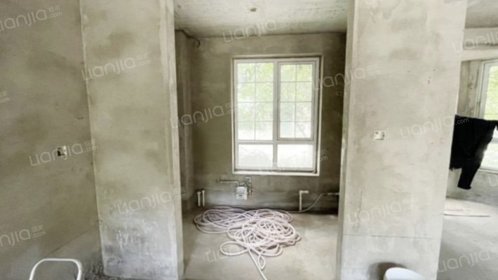 东高毛坯别墅 花园里的别墅区 业主急售-厨房