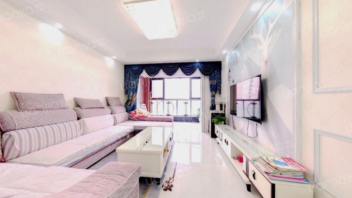 天府美岸二手房实景图