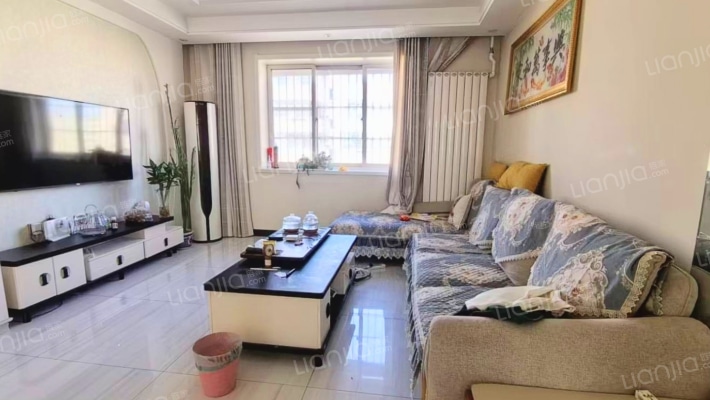 世纪嘉园 中间楼层 精装修 采光好无遮挡-客厅