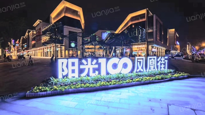 阳光100凤凰街二手房实景图