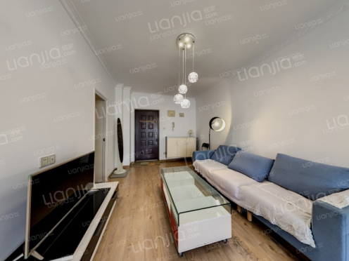 整租·金科蚂蚁 1室1厅 东南