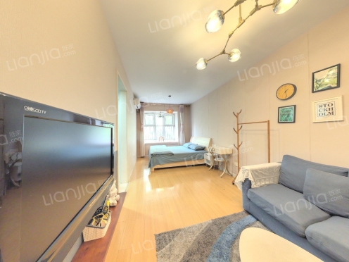 整租·中央公园 1室1厅 南