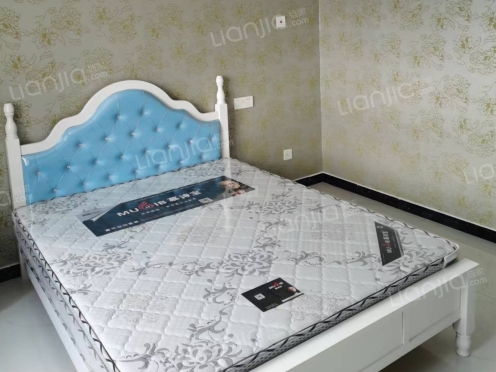 整租·东湖嘉园 1室0厅 南