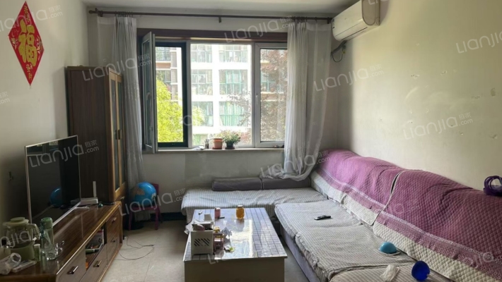 青花府电梯洋房南北通透两居室精装修-客厅