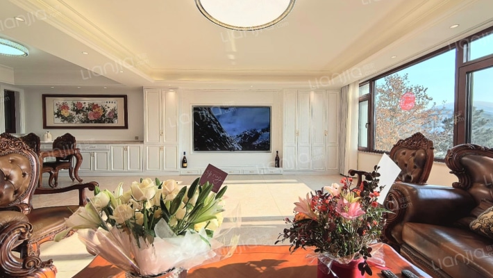 龙湖天璞二手房实景图