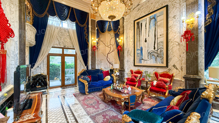 领秀别墅二手房实景图