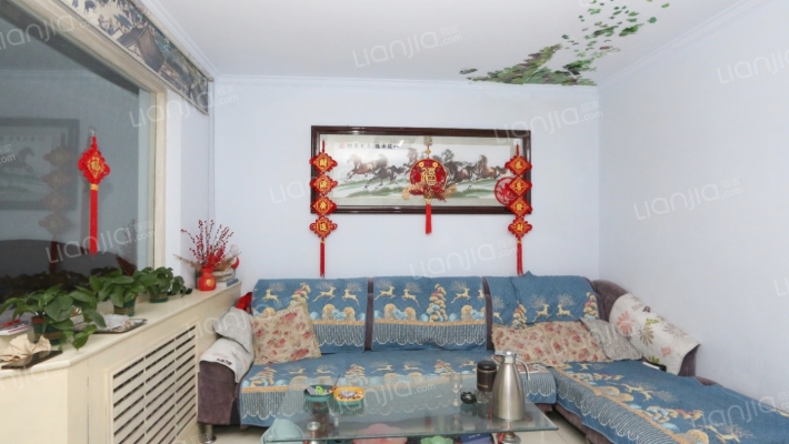 地院巷8号院二手房实景图