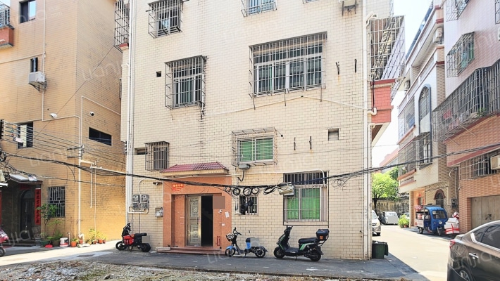 陈村自建房南涌居委会二手房实景图