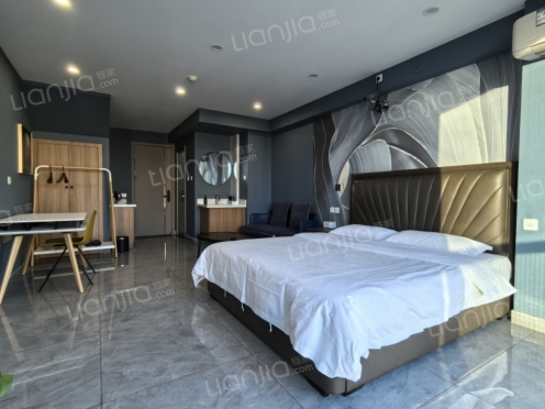 整租·大地·克拉铭座 1室1厅 南