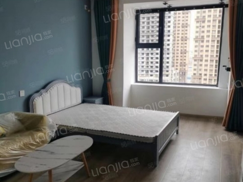 整租·泰安城际空间站 1室1厅 南/北