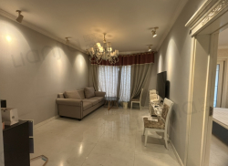 整租·常绿·大阅城 2室2厅 东南_常绿·大阅城租房