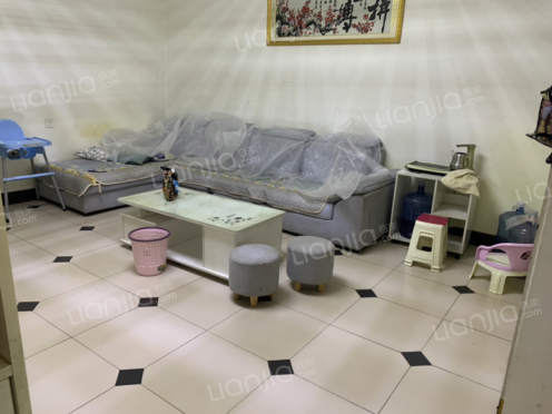 整租·金泰小区 2室2厅 东南