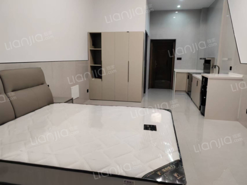 整租·新湖欢乐颂 1室1厅 南