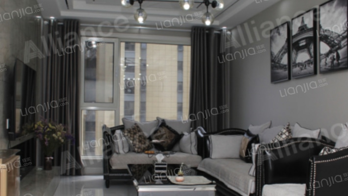 狮子城南区  全南向两居室 简约装修-客厅