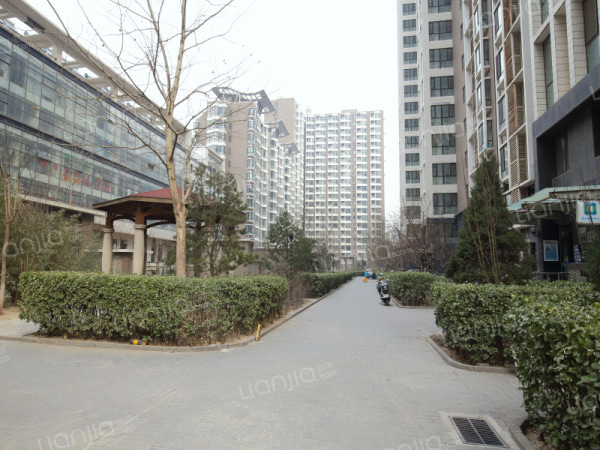 时代国际嘉园 1室0厅1卫 41平米 6000元