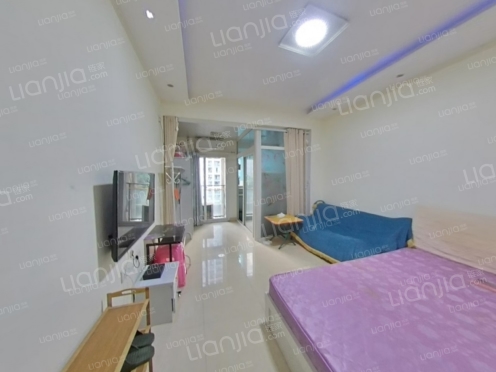 整租·典雅中央广场 1室1厅 南