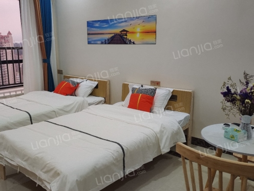 整租·海湾1号 1室1厅 东南/南