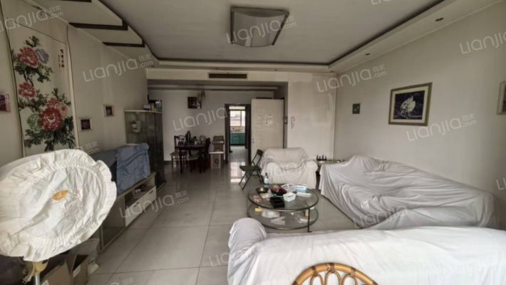 华阳路 别墅社区  停车方便 低楼层-客厅