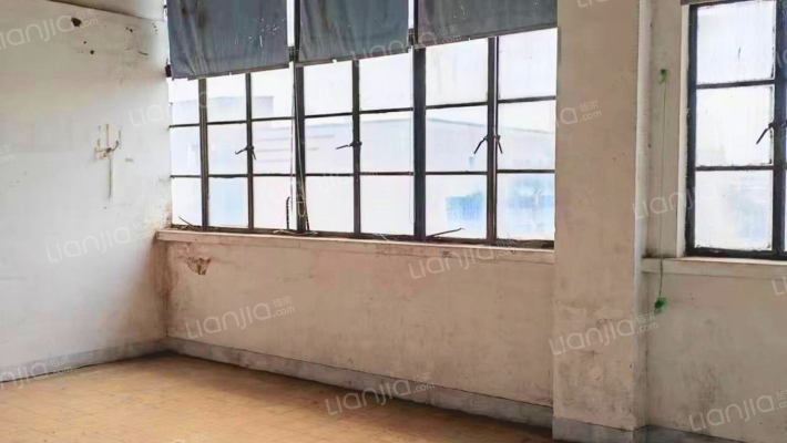 联发16号厂房二手房实景图