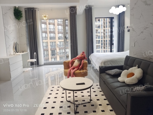 整租·花样年•麓湖国际 3室2厅 南