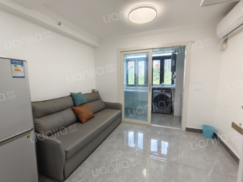 整租·中梁百悦汇 1室1厅 南