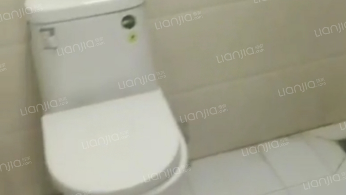 水岸花城，一线河景美宅，标准现房，即买即住-卫生间