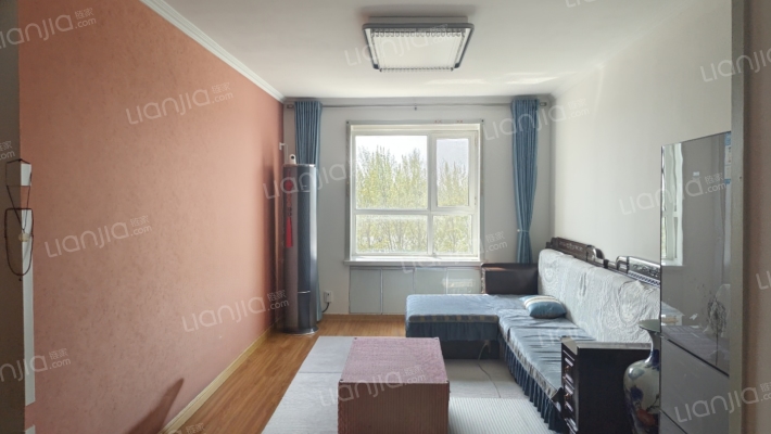 水岸花城，环境好，四季有景，交通便利。-客厅