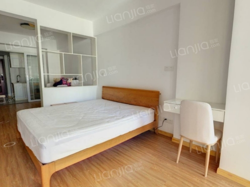 整租·东方时空 1室1厅 东南