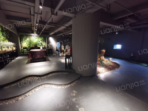 整租·叠彩中心 5室1厅 东/东南