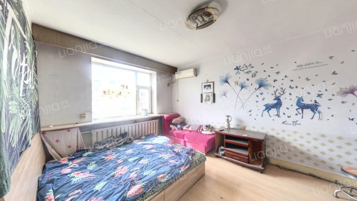 普阳街二手房实景图