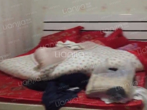 整租·北梁新区北四区 2室1厅 南/北