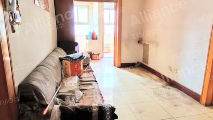 全南两居  低楼层  七十年大产权-客厅