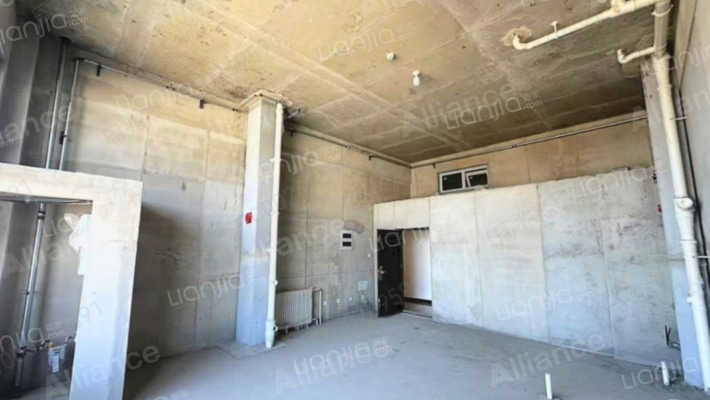 算式  买一层可得两层  得房率高  带车位-客厅