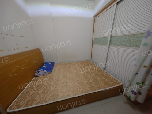 整租·天府西成 1室1厅 南/西南