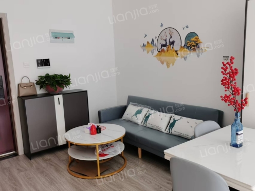 整租·株洲望云印象 1室1厅 南