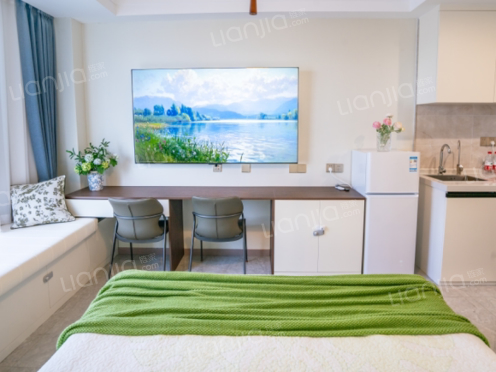 整租·祥泰紫宸 1室1厅 西