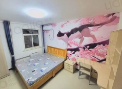 合租·乐凯佳苑c区 3居室 南卧_乐凯佳苑c区租房